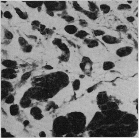 https://cdn.ncbi.nlm.nih.gov/pmc/blobs/9e3c/1946166/10d10ab07b60/canmedaj01322-0030-b.jpg