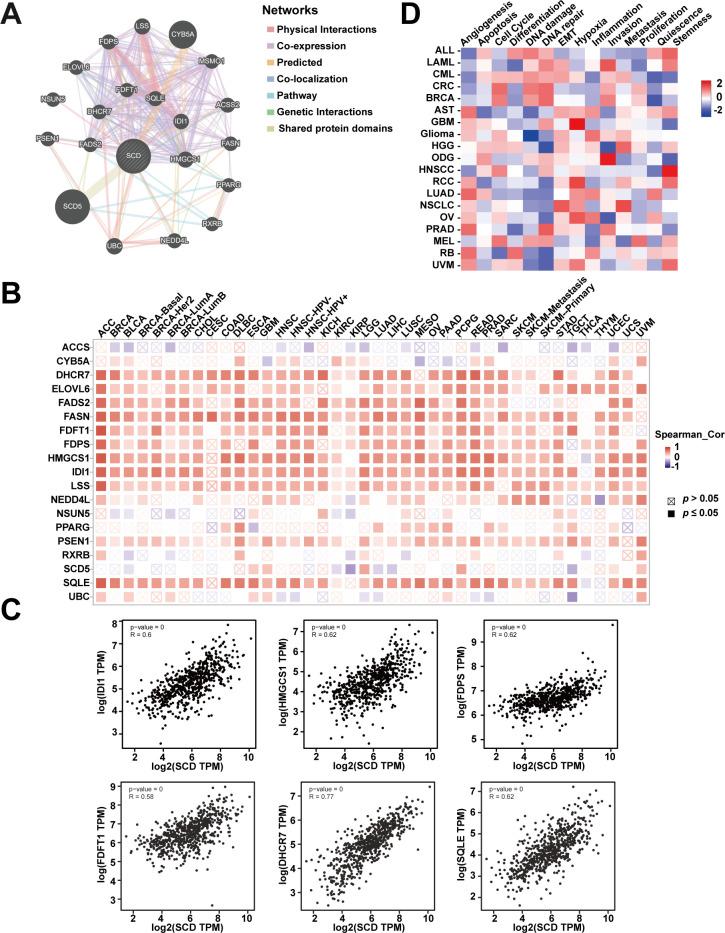 https://cdn.ncbi.nlm.nih.gov/pmc/blobs/9e3f/11439642/56436c1bad09/fimmu-15-1460915-g005.jpg