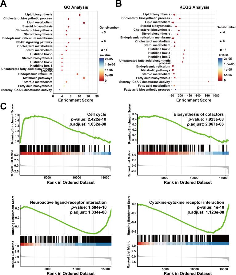 https://cdn.ncbi.nlm.nih.gov/pmc/blobs/9e3f/11439642/9fc24b2ffd0e/fimmu-15-1460915-g006.jpg