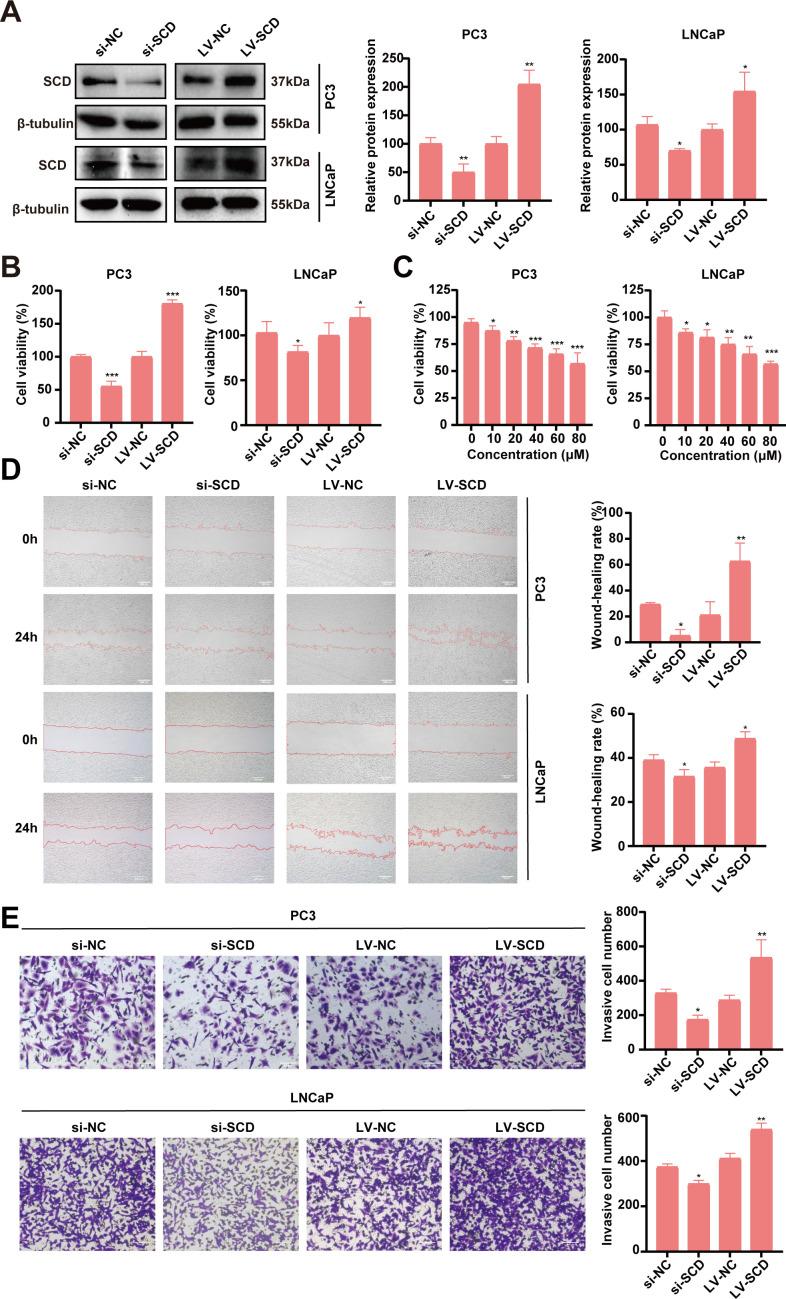 https://cdn.ncbi.nlm.nih.gov/pmc/blobs/9e3f/11439642/ba0b10ee8a6b/fimmu-15-1460915-g007.jpg