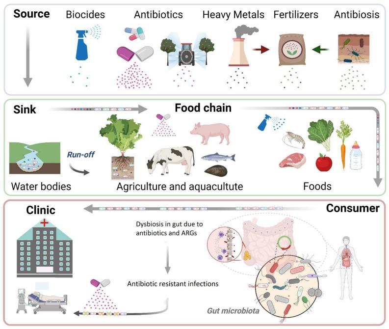 https://cdn.ncbi.nlm.nih.gov/pmc/blobs/9e40/8226744/8e94a59583ea/antibiotics-10-00640-g001.jpg