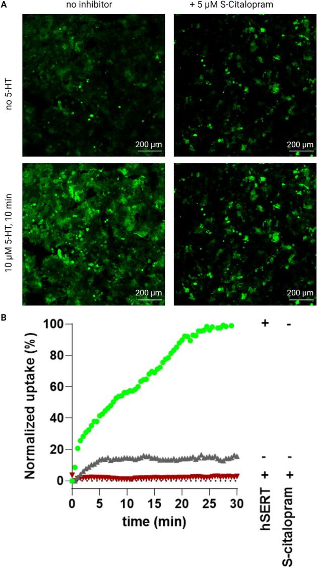 https://cdn.ncbi.nlm.nih.gov/pmc/blobs/9e42/10951269/c6bc118fc8d3/41598_2024_56712_Fig2_HTML.jpg