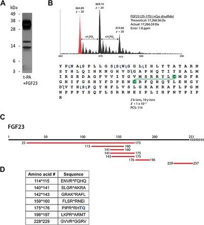 https://cdn.ncbi.nlm.nih.gov/pmc/blobs/9e43/5597312/21a4823e87c7/1603259-F5.jpg