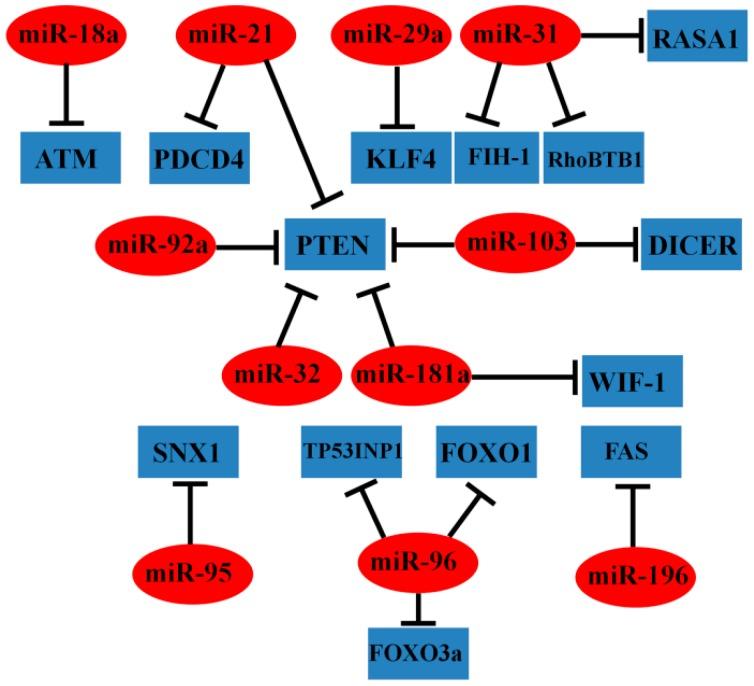 https://cdn.ncbi.nlm.nih.gov/pmc/blobs/9e44/4581331/9470d50f46df/ijms-16-19886-g002.jpg