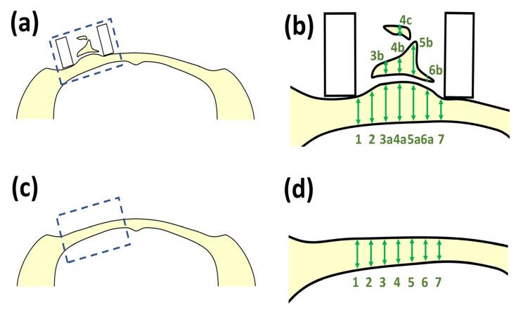 https://cdn.ncbi.nlm.nih.gov/pmc/blobs/9e45/9783206/5f9c574ff276/polymers-14-05368-g006.jpg