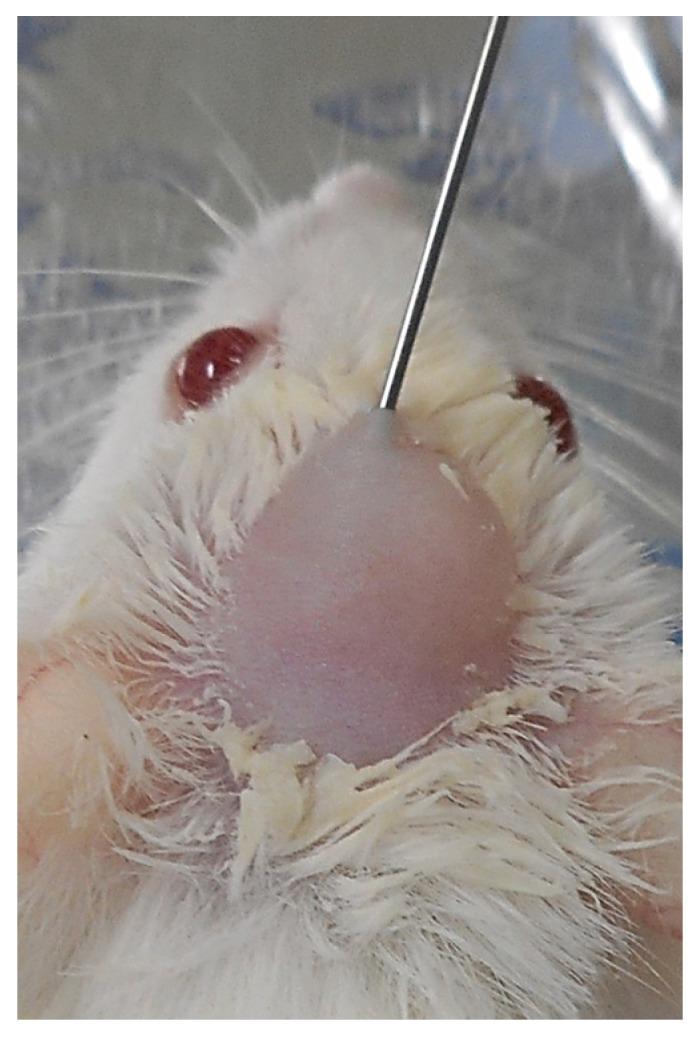 https://cdn.ncbi.nlm.nih.gov/pmc/blobs/9e45/9783206/f0f6f08bfb1e/polymers-14-05368-g004.jpg