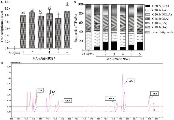 https://cdn.ncbi.nlm.nih.gov/pmc/blobs/9e46/5786553/7e432ca03550/fbioe-05-00089-g006.jpg