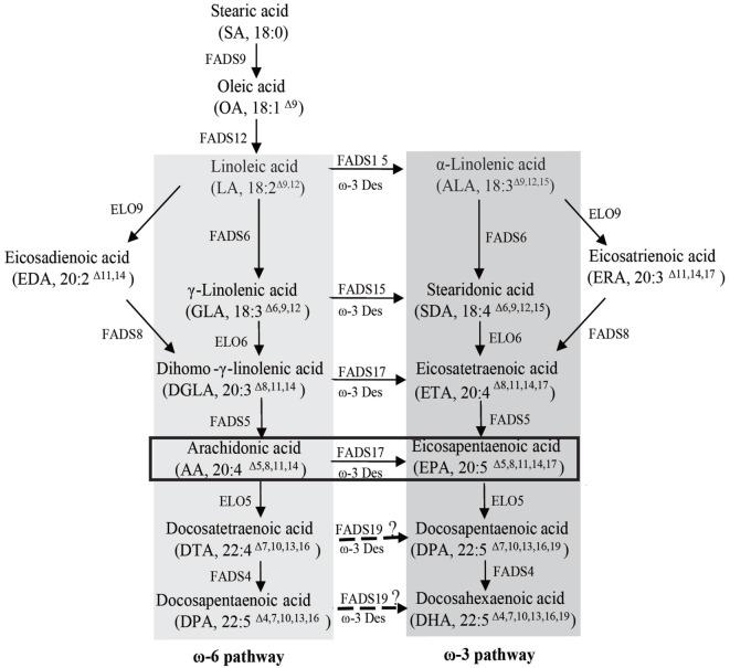 https://cdn.ncbi.nlm.nih.gov/pmc/blobs/9e46/5786553/ffa5c6dbdb1d/fbioe-05-00089-g001.jpg