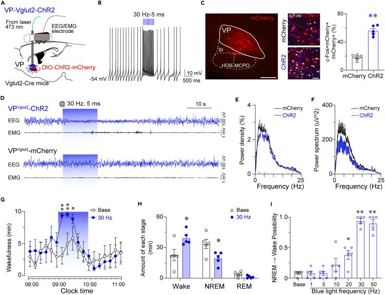 https://cdn.ncbi.nlm.nih.gov/pmc/blobs/9e47/10440712/0887bb8e0d19/gr2.jpg