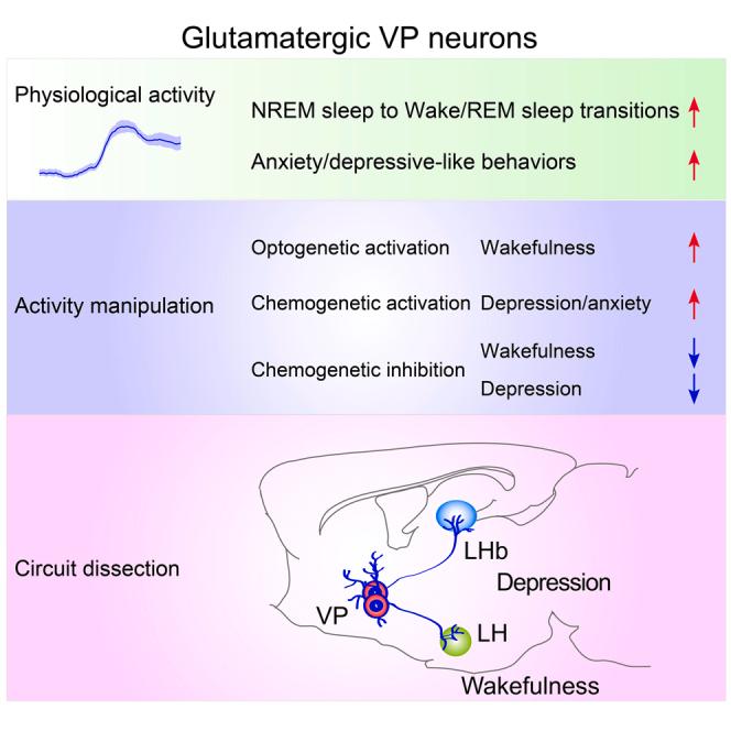 https://cdn.ncbi.nlm.nih.gov/pmc/blobs/9e47/10440712/d72ba5fd6eee/fx1.jpg