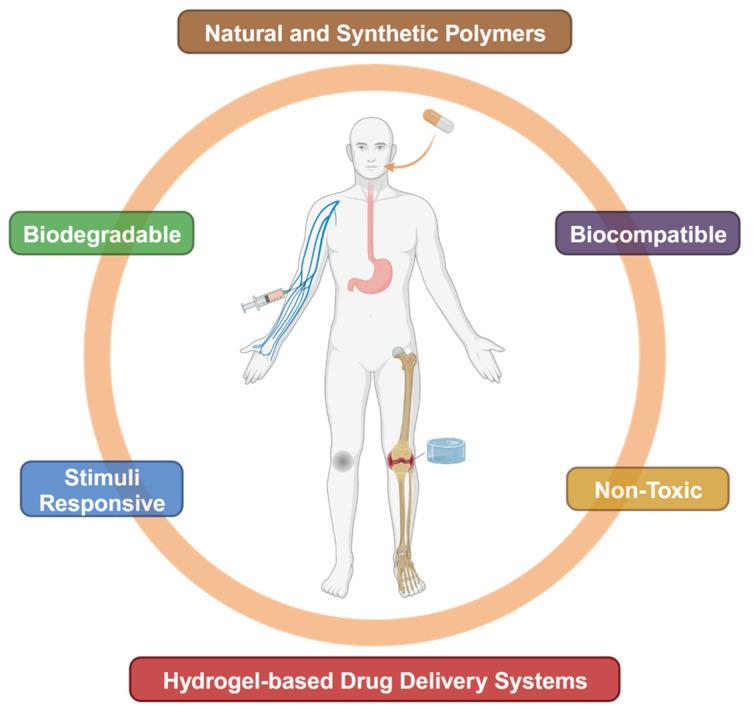 https://cdn.ncbi.nlm.nih.gov/pmc/blobs/9e47/11594258/1277d718ef05/gels-10-00693-g002.jpg