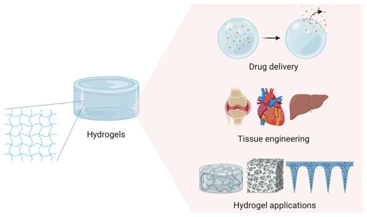 https://cdn.ncbi.nlm.nih.gov/pmc/blobs/9e47/11594258/e318217047db/gels-10-00693-g001.jpg