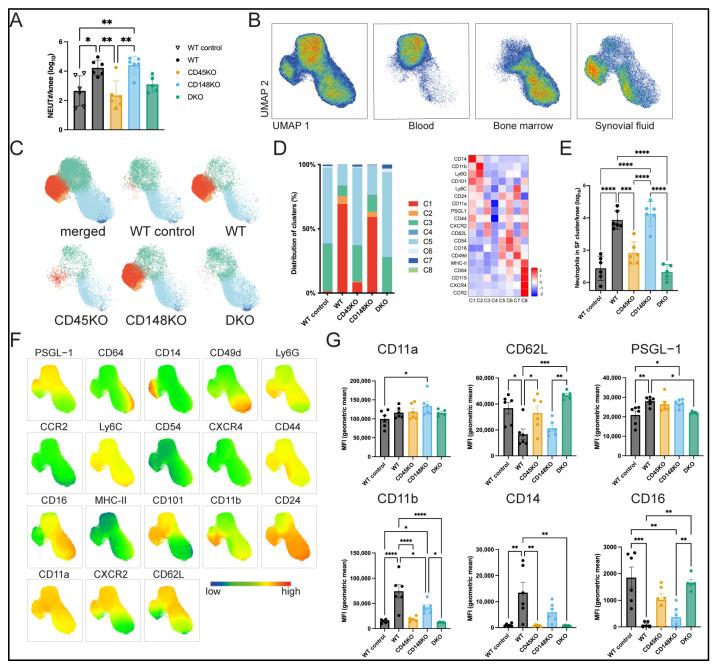 https://cdn.ncbi.nlm.nih.gov/pmc/blobs/9e47/12346378/41b52ee33260/cells-14-01169-g004.jpg