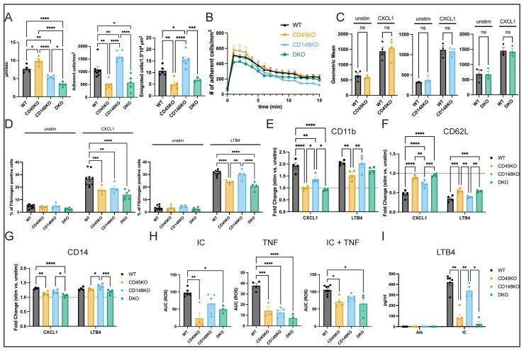 https://cdn.ncbi.nlm.nih.gov/pmc/blobs/9e47/12346378/fd22266d68ab/cells-14-01169-g005.jpg