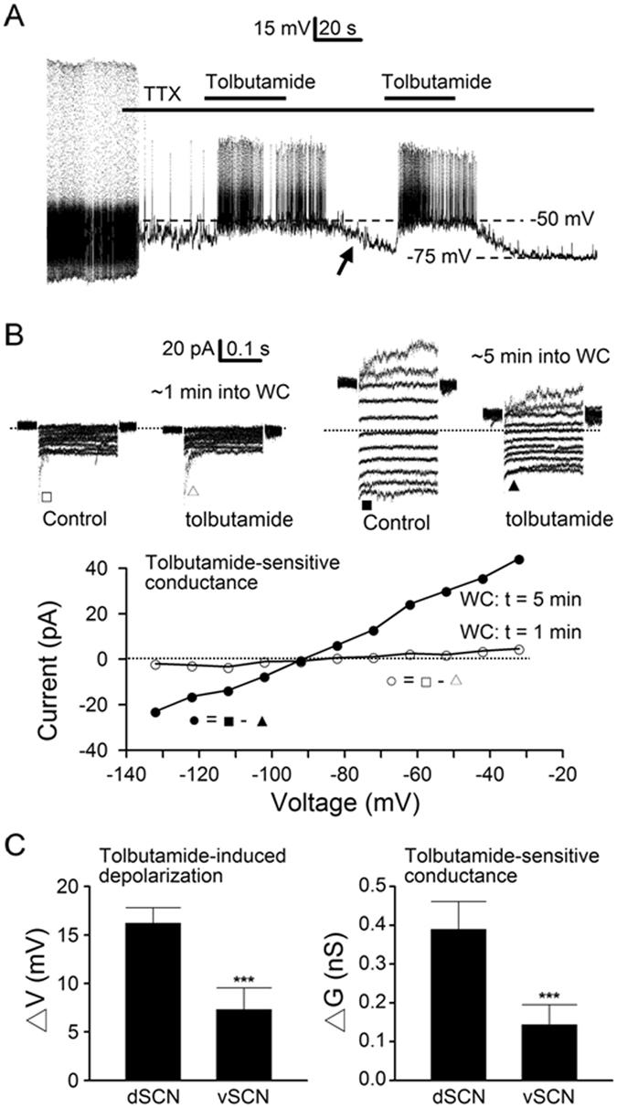 https://cdn.ncbi.nlm.nih.gov/pmc/blobs/9e47/5428822/50cc3ea732d7/41598_2017_699_Fig3_HTML.jpg