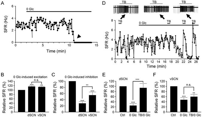 https://cdn.ncbi.nlm.nih.gov/pmc/blobs/9e47/5428822/9f67e205dead/41598_2017_699_Fig6_HTML.jpg