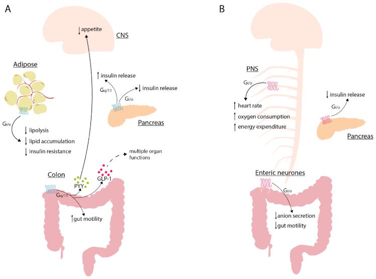 https://cdn.ncbi.nlm.nih.gov/pmc/blobs/9e49/7962094/8773532c7459/gr1.jpg
