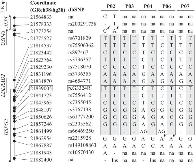 https://cdn.ncbi.nlm.nih.gov/pmc/blobs/9e4f/11126378/6b26494e35cf/10038_2024_1229_Fig3_HTML.jpg