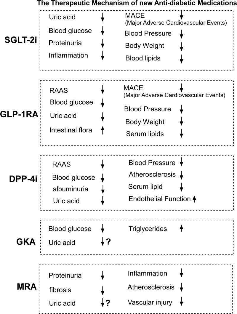 https://cdn.ncbi.nlm.nih.gov/pmc/blobs/9e50/10547008/a07ee638660c/DMSO-16-3029-g0003.jpg