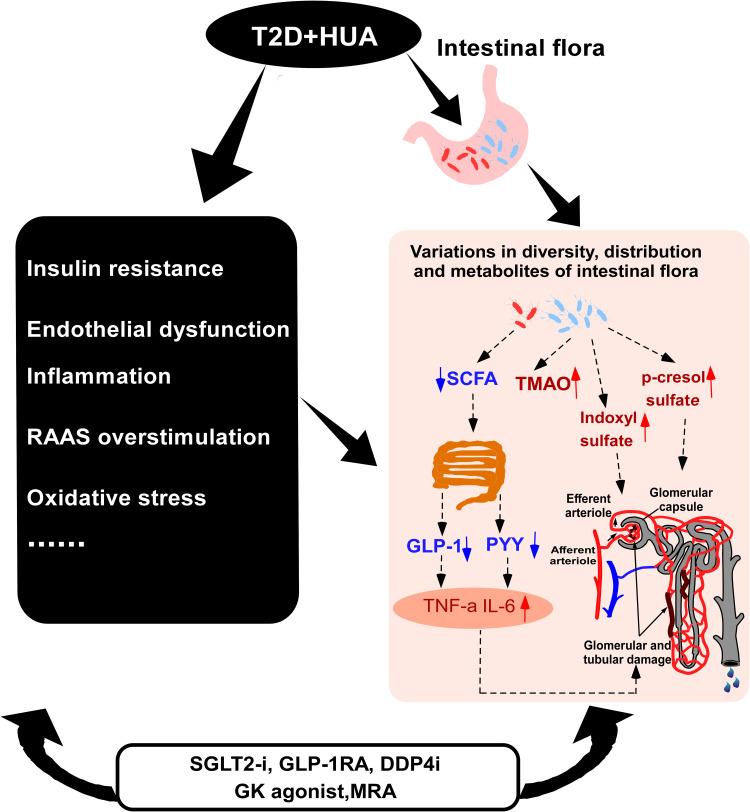 https://cdn.ncbi.nlm.nih.gov/pmc/blobs/9e50/10547008/b77cbbb63f90/DMSO-16-3029-g0002.jpg
