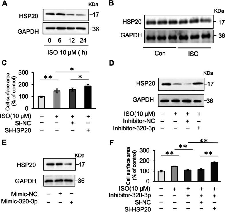 https://cdn.ncbi.nlm.nih.gov/pmc/blobs/9e51/10763352/1b3e8a086a55/11658_2023_520_Fig5_HTML.jpg