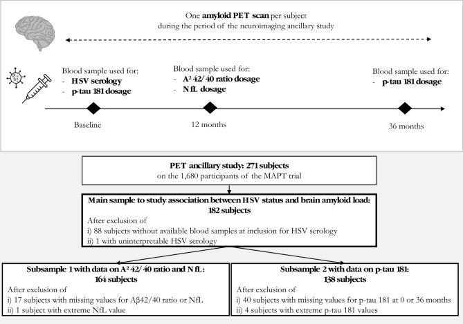 https://cdn.ncbi.nlm.nih.gov/pmc/blobs/9e51/11748617/41e727bc6fb1/41598_2024_84583_Fig1_HTML.jpg