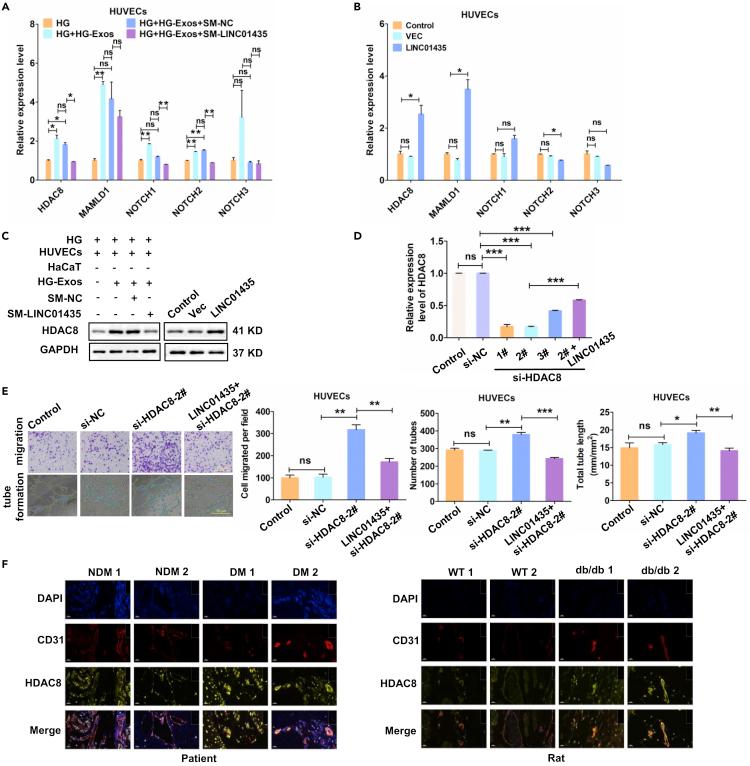 https://cdn.ncbi.nlm.nih.gov/pmc/blobs/9e51/8938286/4d22583cbadf/gr4.jpg