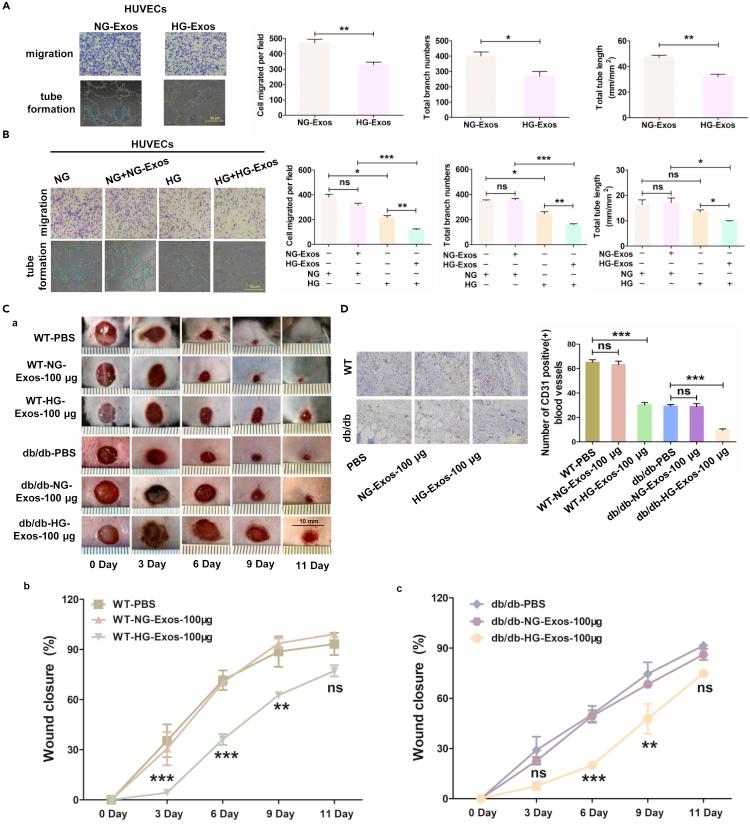 https://cdn.ncbi.nlm.nih.gov/pmc/blobs/9e51/8938286/878d458238ab/gr2.jpg