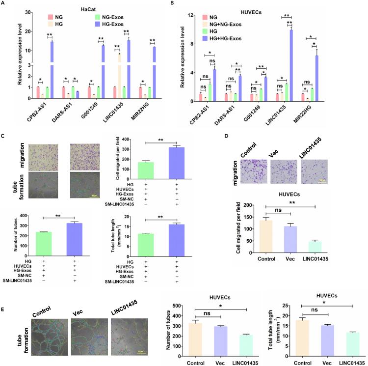 https://cdn.ncbi.nlm.nih.gov/pmc/blobs/9e51/8938286/bd853178b669/gr3.jpg