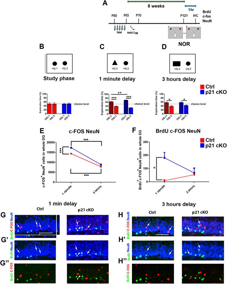 https://cdn.ncbi.nlm.nih.gov/pmc/blobs/9e53/11227726/8b291d9f64b4/13287_2024_3787_Fig6_HTML.jpg