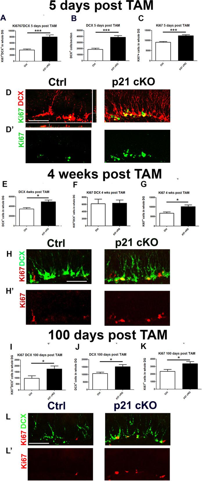 https://cdn.ncbi.nlm.nih.gov/pmc/blobs/9e53/11227726/a2f257fea386/13287_2024_3787_Fig3_HTML.jpg
