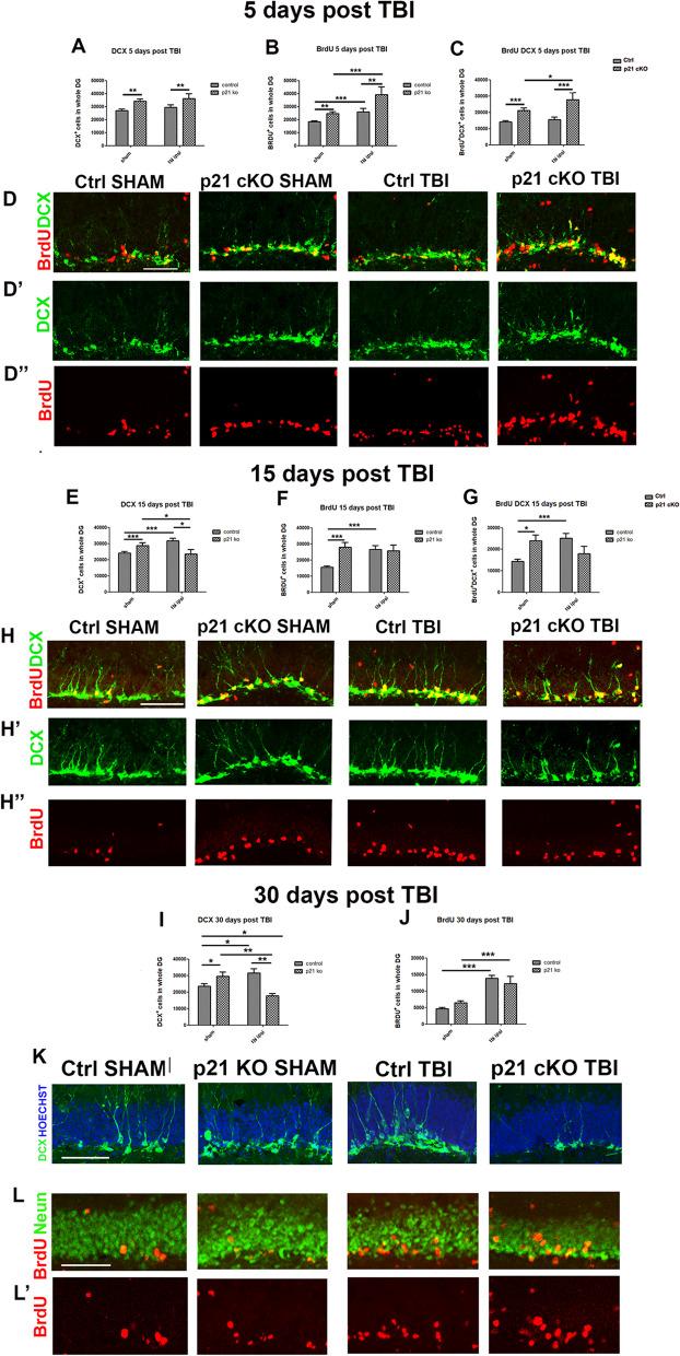 https://cdn.ncbi.nlm.nih.gov/pmc/blobs/9e53/11227726/b9b14fd5e798/13287_2024_3787_Fig8_HTML.jpg