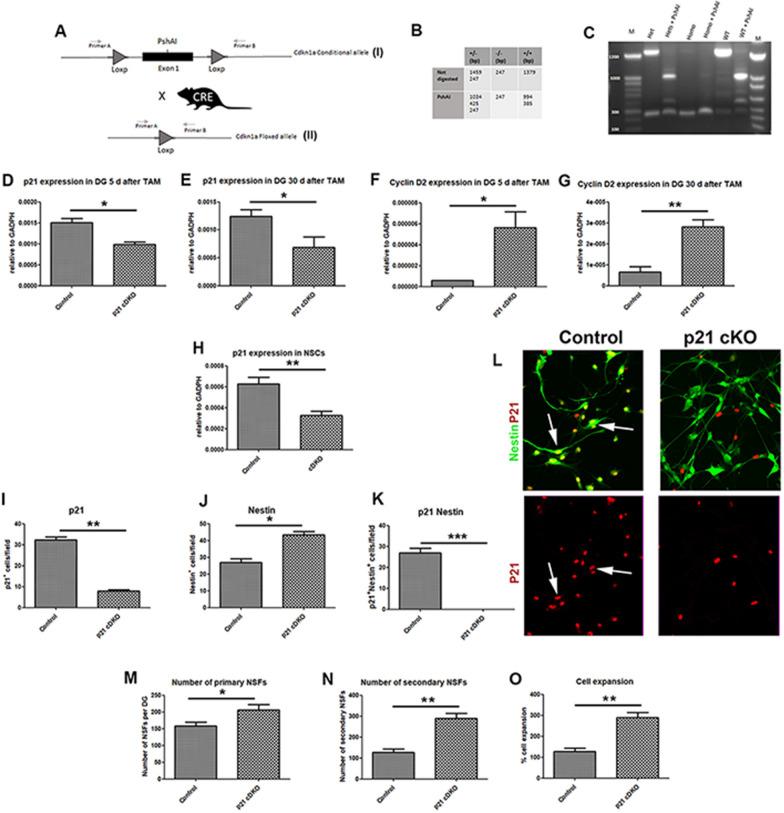 https://cdn.ncbi.nlm.nih.gov/pmc/blobs/9e53/11227726/c63c7a5c4569/13287_2024_3787_Fig1_HTML.jpg