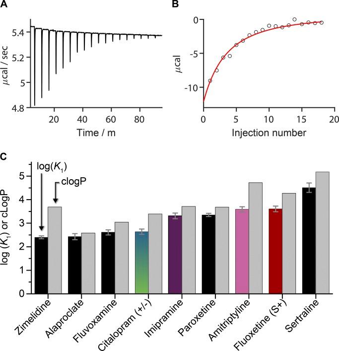 https://cdn.ncbi.nlm.nih.gov/pmc/blobs/9e55/6400527/2f651b217797/JGP_201812263_Fig4.jpg