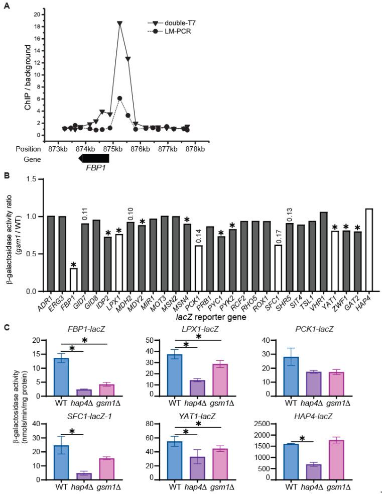 https://cdn.ncbi.nlm.nih.gov/pmc/blobs/9e57/11432098/c2d4060b41f5/genes-15-01128-g003.jpg