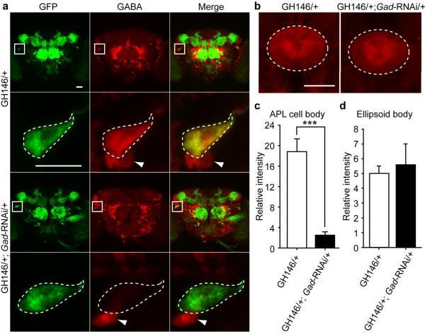 https://cdn.ncbi.nlm.nih.gov/pmc/blobs/9e59/2680707/64a3367079b7/nihms-103092-f0002.jpg
