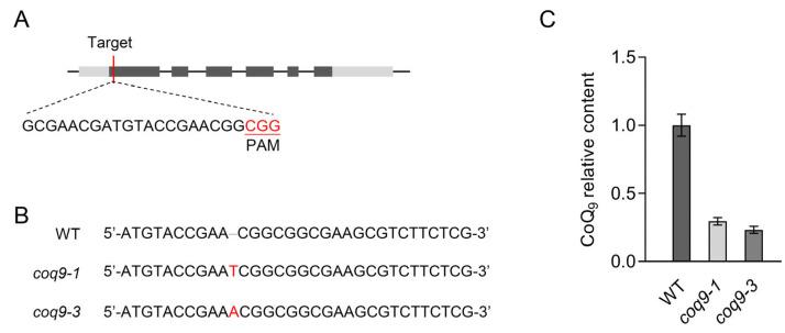 https://cdn.ncbi.nlm.nih.gov/pmc/blobs/9e5a/10385794/ef21ad6376aa/metabolites-13-00813-g005.jpg