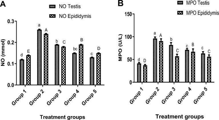 https://cdn.ncbi.nlm.nih.gov/pmc/blobs/9e5b/10873395/1e2b9de82d20/41598_2024_54523_Fig3_HTML.jpg