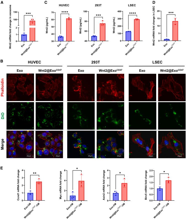 https://cdn.ncbi.nlm.nih.gov/pmc/blobs/9e5b/12047510/122d71ec8c6a/gr4.jpg