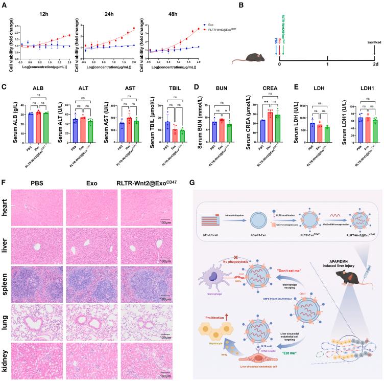 https://cdn.ncbi.nlm.nih.gov/pmc/blobs/9e5b/12047510/2a34e8db2ac9/gr6.jpg