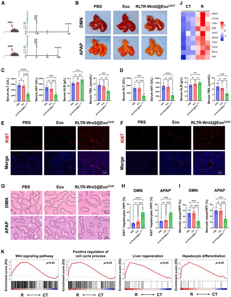 https://cdn.ncbi.nlm.nih.gov/pmc/blobs/9e5b/12047510/2e157069e16b/gr5.jpg