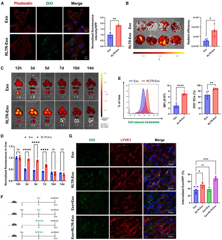 https://cdn.ncbi.nlm.nih.gov/pmc/blobs/9e5b/12047510/5b1905d6a9d1/gr2.jpg