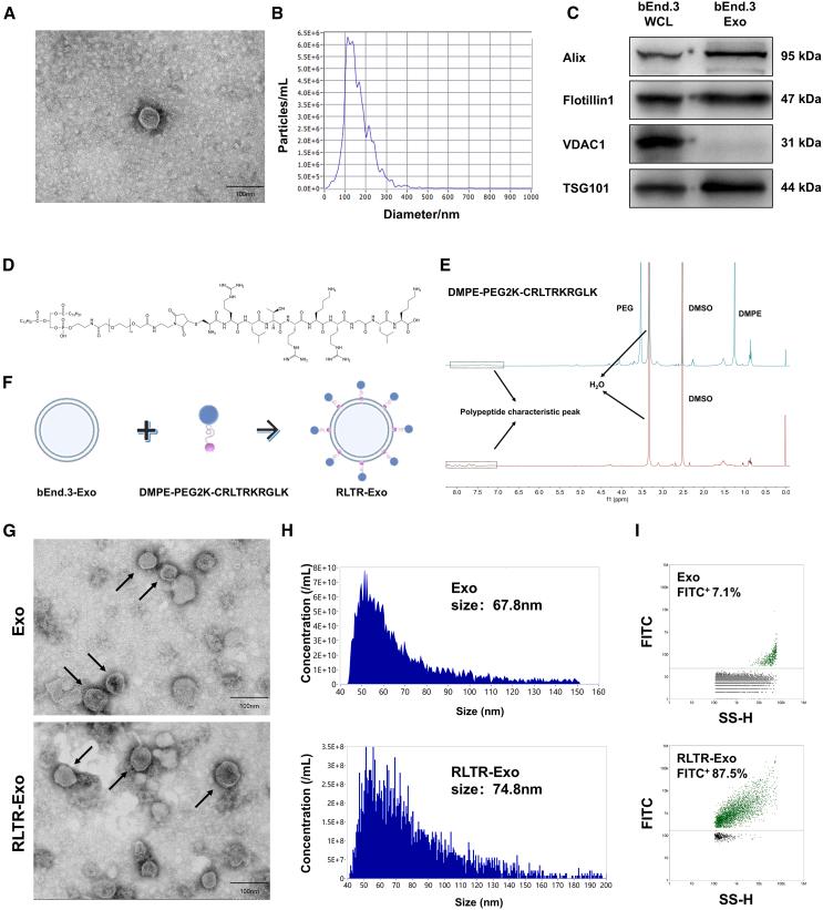 https://cdn.ncbi.nlm.nih.gov/pmc/blobs/9e5b/12047510/5c8eaad873ba/gr1.jpg