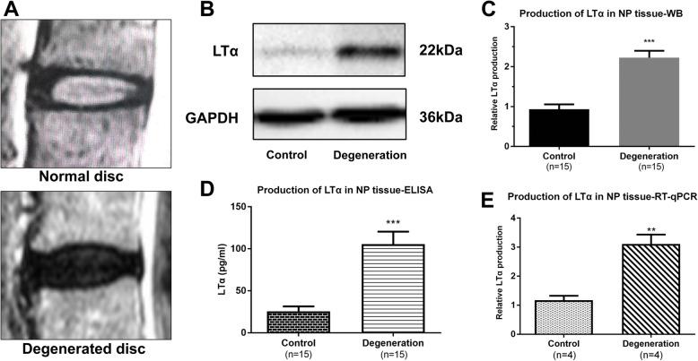 https://cdn.ncbi.nlm.nih.gov/pmc/blobs/9e5b/7807514/07a54fec455b/12891_2020_3934_Fig1_HTML.jpg