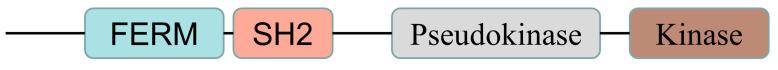 https://cdn.ncbi.nlm.nih.gov/pmc/blobs/9e5d/9855819/b4a1413aa940/biomolecules-13-00119-g001.jpg