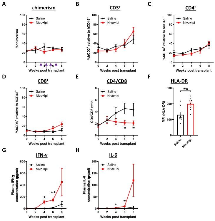 https://cdn.ncbi.nlm.nih.gov/pmc/blobs/9e5e/7225949/4b2a980d930c/cancers-12-01025-g005.jpg