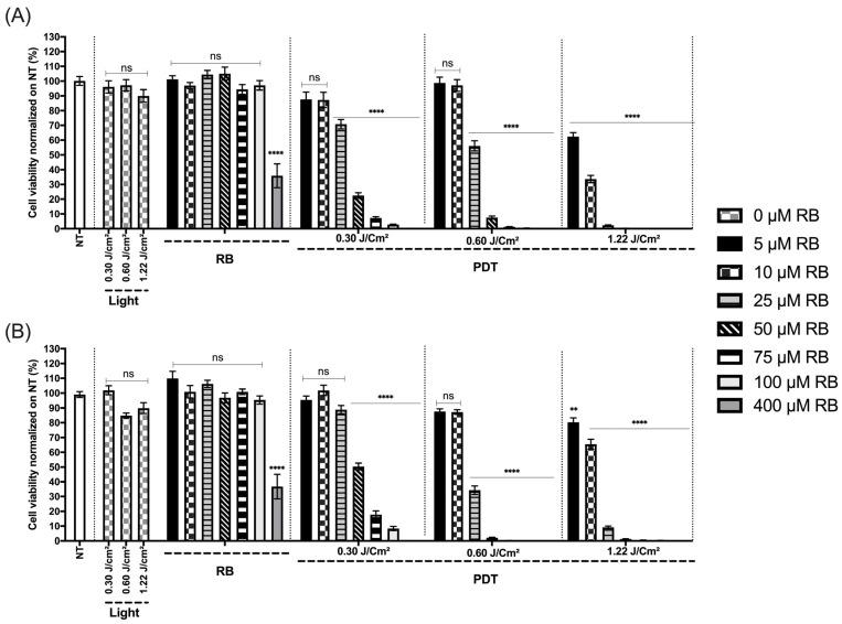 https://cdn.ncbi.nlm.nih.gov/pmc/blobs/9e62/11428738/ab97bfa6aa19/biomedicines-12-02120-g013.jpg