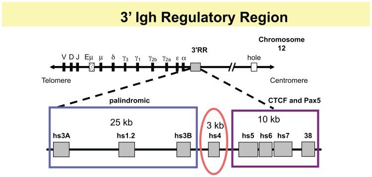 https://cdn.ncbi.nlm.nih.gov/pmc/blobs/9e62/3499808/939046df90d9/fgene-03-00251-g001.jpg
