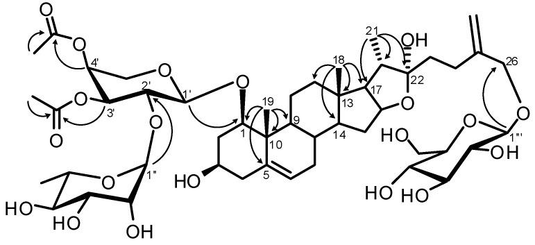 https://cdn.ncbi.nlm.nih.gov/pmc/blobs/9e63/6268211/d28057fbc579/molecules-17-14002-g003.jpg