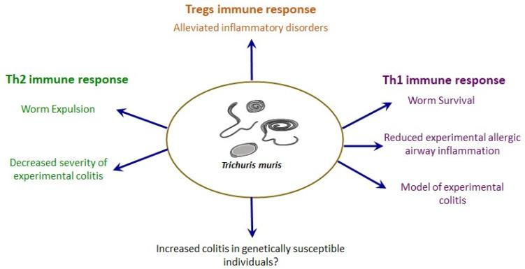 https://cdn.ncbi.nlm.nih.gov/pmc/blobs/9e65/8399713/db6a50bb74aa/pathogens-10-00925-g002.jpg